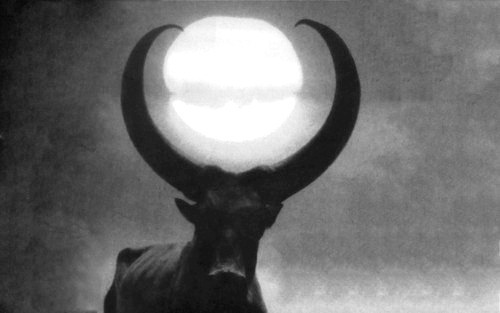 black and white photo of a water buffalo with full moon between horns