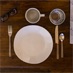 empty plate beside cutlery